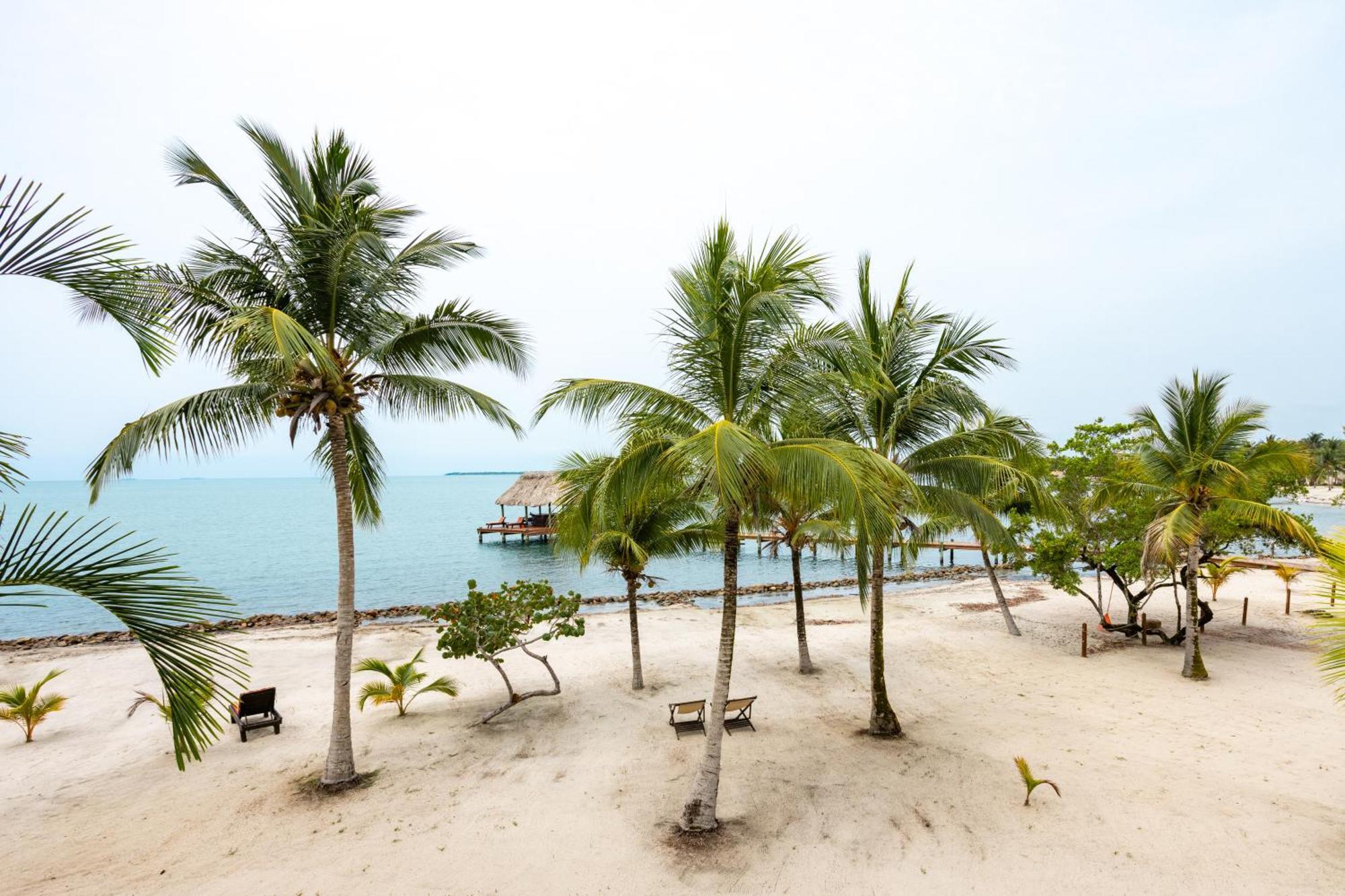 The Villas At Cocoplum Placencia Exterior foto